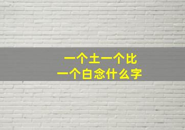 一个土一个比一个白念什么字