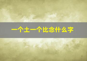 一个土一个比念什么字