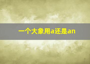 一个大象用a还是an