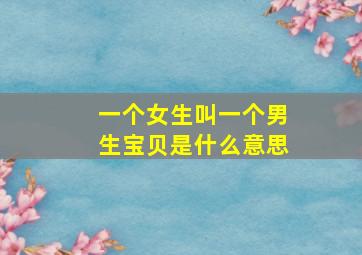 一个女生叫一个男生宝贝是什么意思