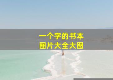 一个字的书本图片大全大图