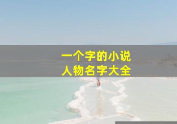 一个字的小说人物名字大全