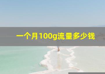 一个月100g流量多少钱