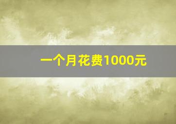 一个月花费1000元