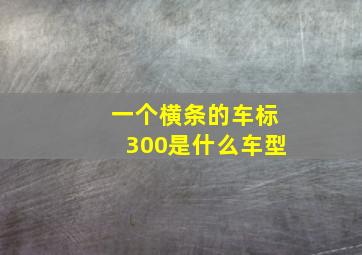 一个横条的车标300是什么车型