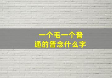 一个毛一个普通的普念什么字