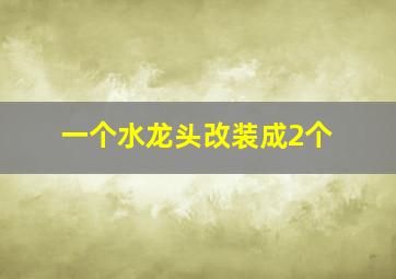 一个水龙头改装成2个