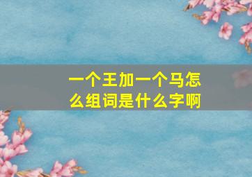 一个王加一个马怎么组词是什么字啊