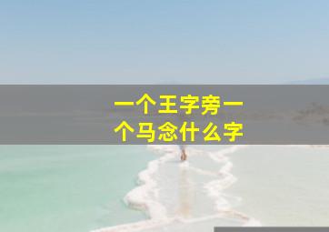 一个王字旁一个马念什么字