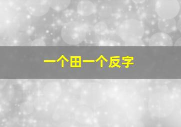 一个田一个反字