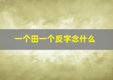 一个田一个反字念什么