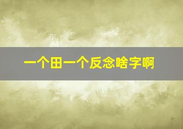 一个田一个反念啥字啊