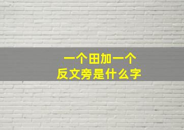 一个田加一个反文旁是什么字