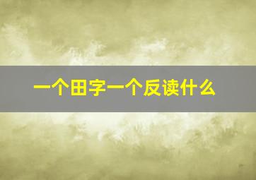 一个田字一个反读什么