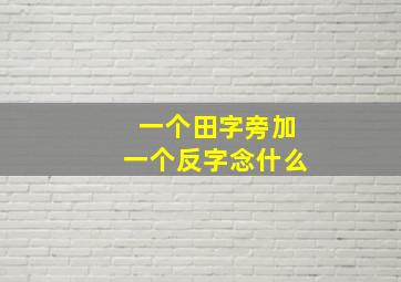 一个田字旁加一个反字念什么