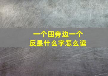 一个田旁边一个反是什么字怎么读