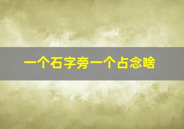 一个石字旁一个占念啥