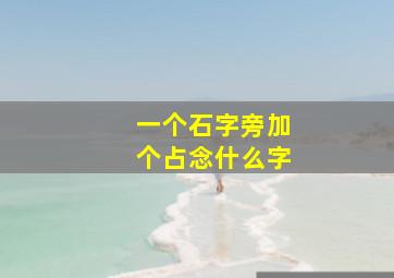 一个石字旁加个占念什么字