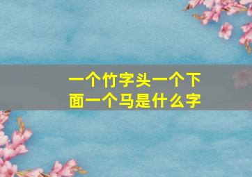 一个竹字头一个下面一个马是什么字