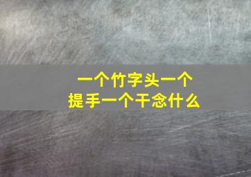 一个竹字头一个提手一个干念什么