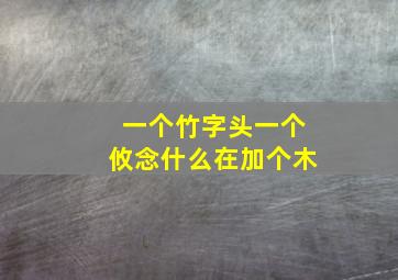 一个竹字头一个攸念什么在加个木