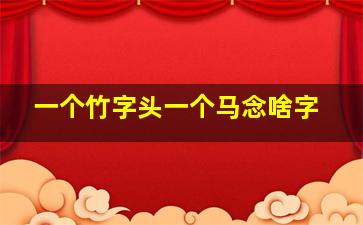 一个竹字头一个马念啥字