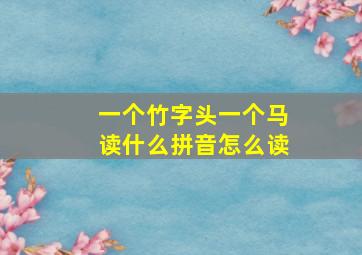 一个竹字头一个马读什么拼音怎么读