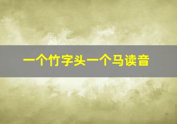 一个竹字头一个马读音