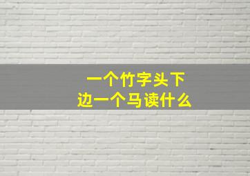 一个竹字头下边一个马读什么