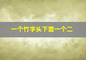 一个竹字头下面一个二