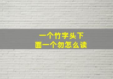 一个竹字头下面一个勿怎么读