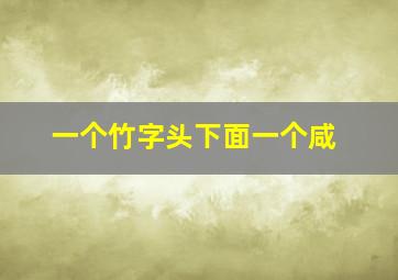 一个竹字头下面一个咸