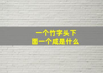 一个竹字头下面一个咸是什么