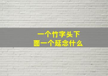 一个竹字头下面一个延念什么