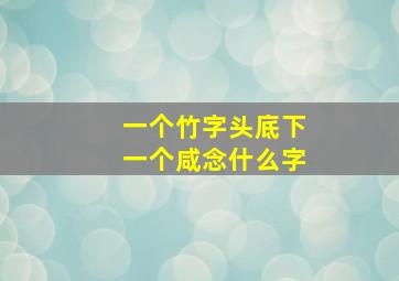 一个竹字头底下一个咸念什么字