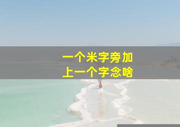 一个米字旁加上一个字念啥