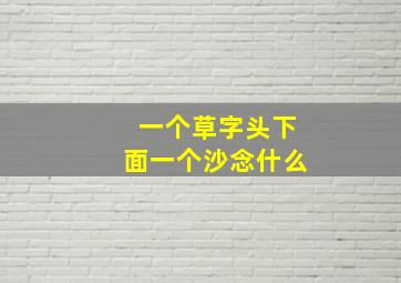 一个草字头下面一个沙念什么