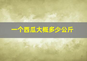 一个西瓜大概多少公斤