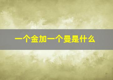 一个金加一个曼是什么