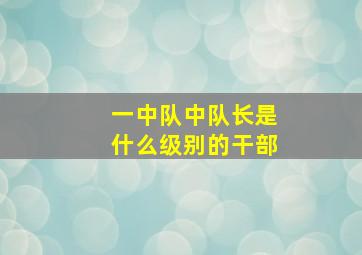 一中队中队长是什么级别的干部