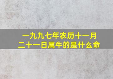 一九九七年农历十一月二十一日属牛的是什么命