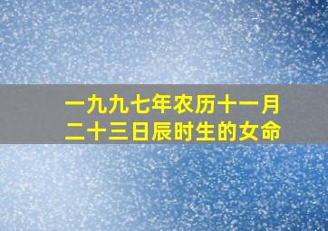 一九九七年农历十一月二十三日辰时生的女命