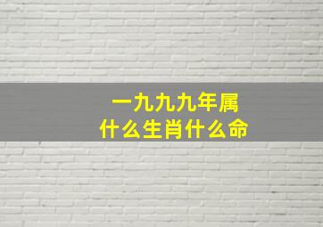 一九九九年属什么生肖什么命