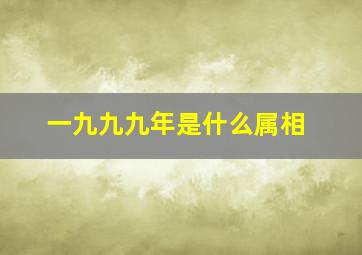 一九九九年是什么属相