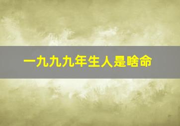 一九九九年生人是啥命