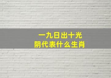 一九日出十光阴代表什么生肖