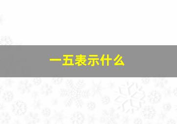 一五表示什么