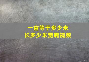 一亩等于多少米长多少米宽呢视频