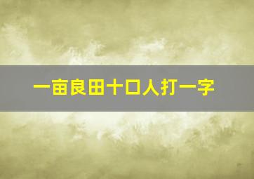 一亩良田十口人打一字