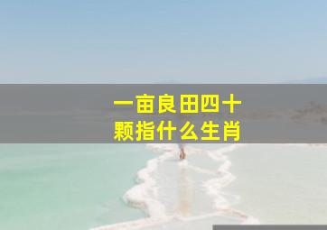 一亩良田四十颗指什么生肖